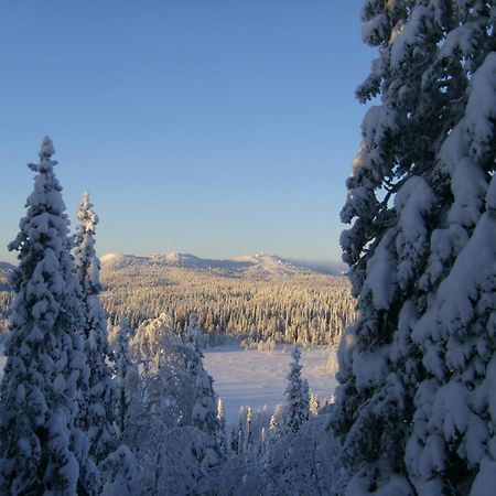Rukajarven Kelopirtit Cottages Экстерьер фото